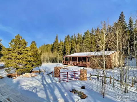 44 Riverside Ln, Ward, CO 80481 photo 24