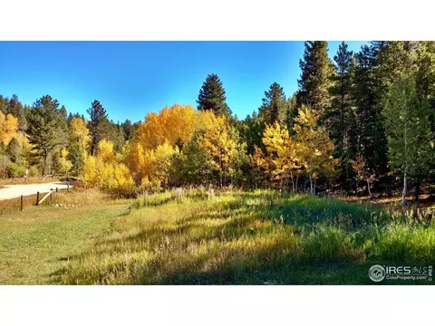 44 Riverside Ln, Ward, CO 80481 photo 20