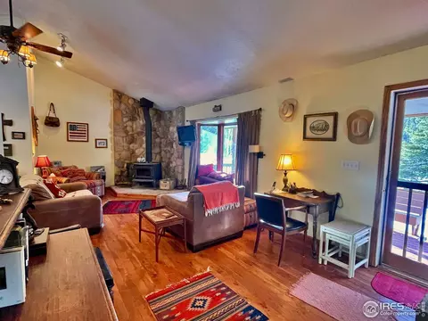 44 Riverside Ln, Ward, CO 80481 photo 6