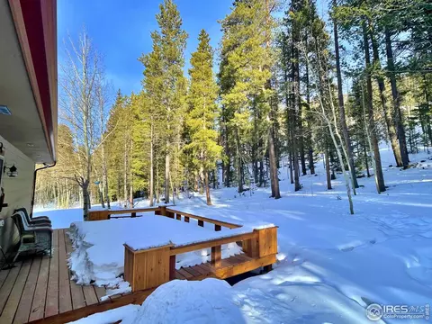 44 Riverside Ln, Ward, CO 80481 photo 17