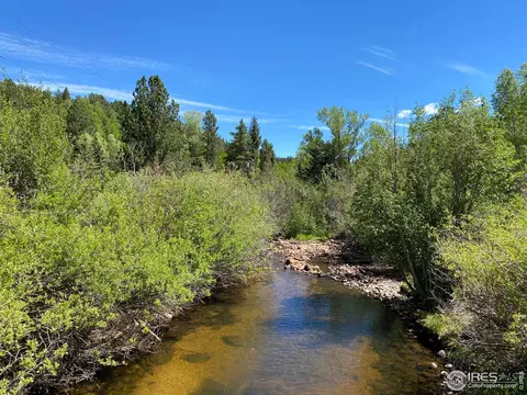 44 Riverside Ln, Ward, CO 80481 photo 30