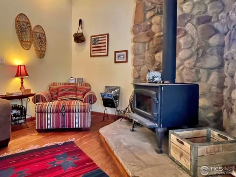 44 Riverside Ln, Ward, CO 80481 photo 7
