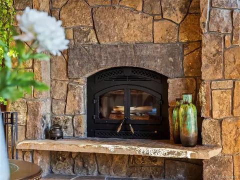 193 Siskin Ln, Frisco, CO 80443 photo 18