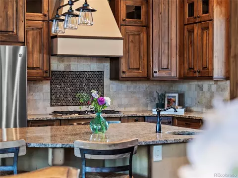 193 Siskin Ln, Frisco, CO 80443 photo 12