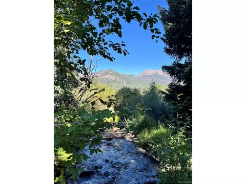 193 Siskin Ln, Frisco, CO 80443 photo 6