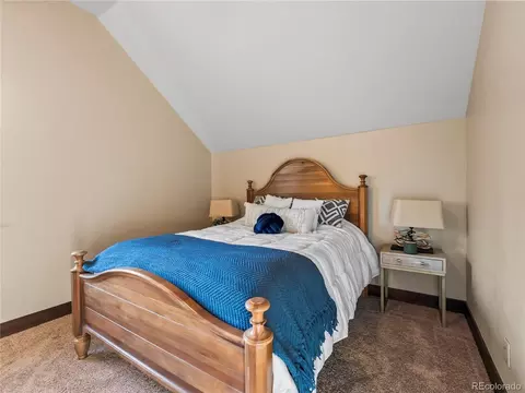 193 Siskin Ln, Frisco, CO 80443 photo 36