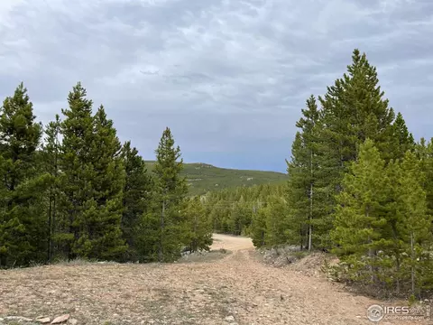 2849 Ottawa Way, Red Feather Lakes, CO 80545