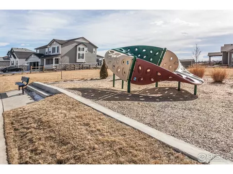 5281 Kellan Ct, Timnath, CO 80547 photo 39