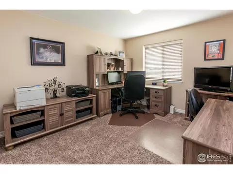 5281 Kellan Ct, Timnath, CO 80547 photo 17