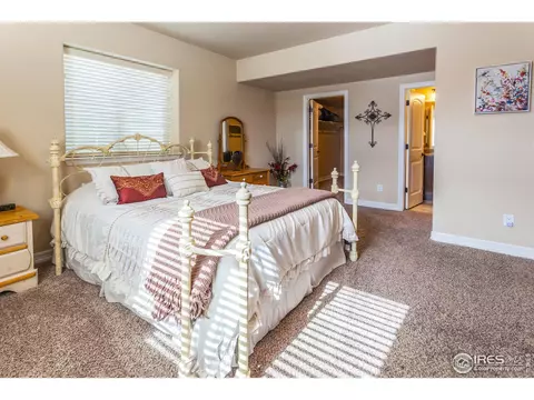 5281 Kellan Ct, Timnath, CO 80547 photo 27