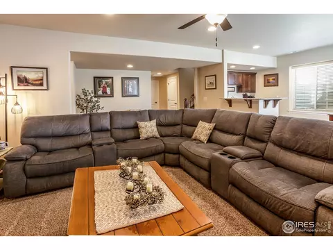 5281 Kellan Ct, Timnath, CO 80547 photo 21
