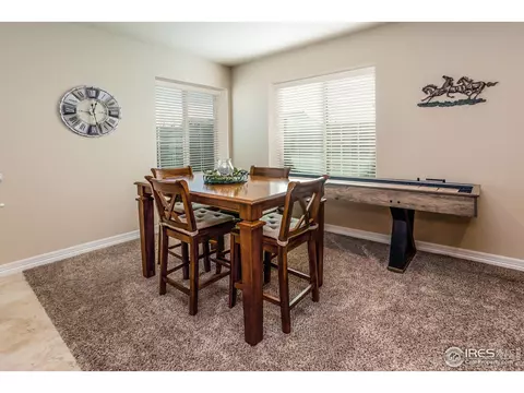 5281 Kellan Ct, Timnath, CO 80547 photo 24