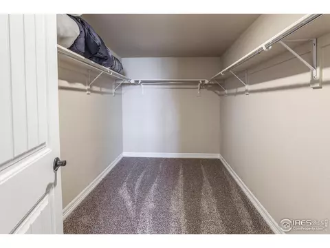 5281 Kellan Ct, Timnath, CO 80547 photo 30