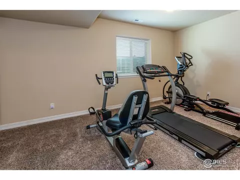 5281 Kellan Ct, Timnath, CO 80547 photo 25