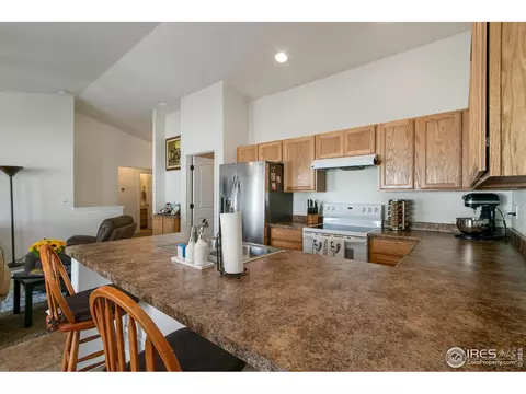730 Elk Mountain Dr, Windsor, CO 80550 photo 15