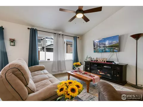 730 Elk Mountain Dr, Windsor, CO 80550 photo 9