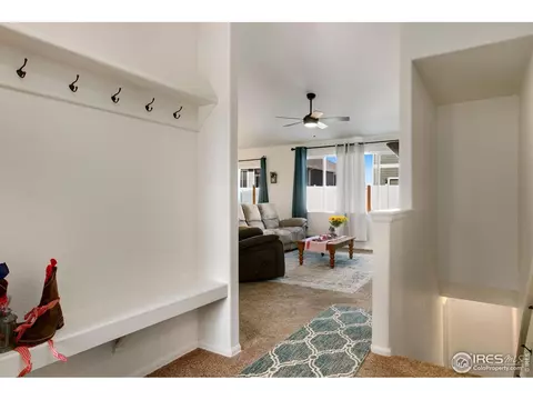 730 Elk Mountain Dr, Windsor, CO 80550 photo 6