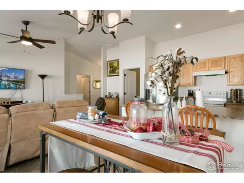 730 Elk Mountain Dr, Windsor, CO 80550 photo 10