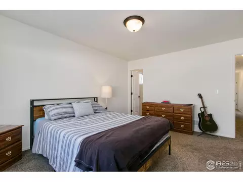 730 Elk Mountain Dr, Windsor, CO 80550 photo 17