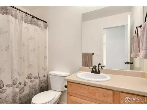 730 Elk Mountain Dr, Windsor, CO 80550 photo 21