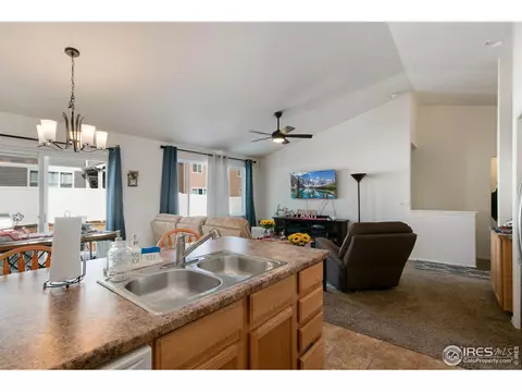 730 Elk Mountain Dr, Windsor, CO 80550 photo 14