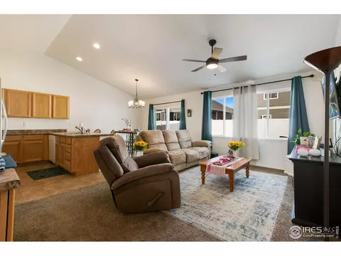 730 Elk Mountain Dr, Windsor, CO 80550 photo 7