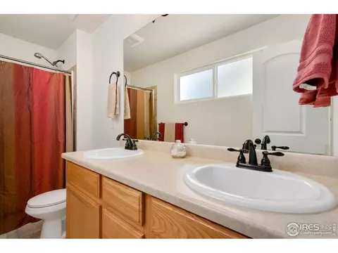 730 Elk Mountain Dr, Windsor, CO 80550 photo 18