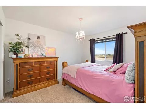 1796 Long Shadow Dr, Windsor, CO 80550 photo 15