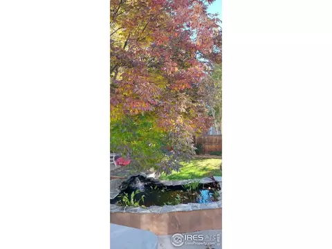 7240 Foothill St, Frederick, CO 80504 photo 29