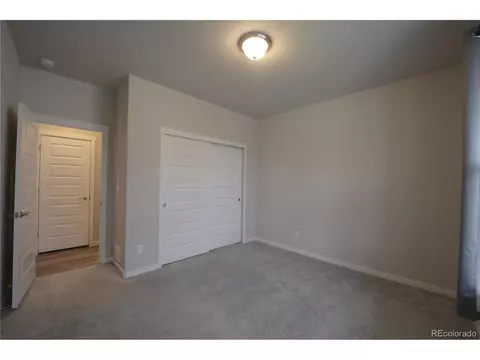 1663 Corby Dr, Windsor, CO 80550 photo 17