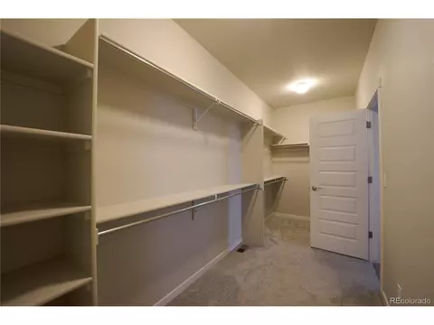 1663 Corby Dr, Windsor, CO 80550 photo 14