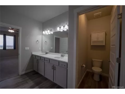 1663 Corby Dr, Windsor, CO 80550 photo 13