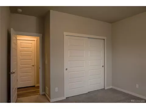 1663 Corby Dr, Windsor, CO 80550 photo 15