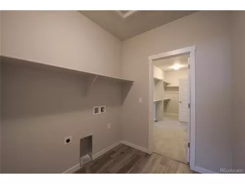 1663 Corby Dr, Windsor, CO 80550 photo 22