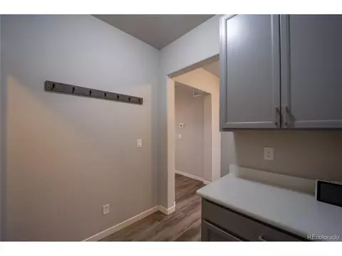 1663 Corby Dr, Windsor, CO 80550 photo 21
