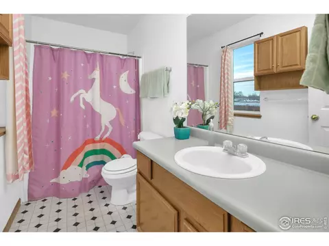 3303 Pheasant St, Evans, CO 80620 photo 13