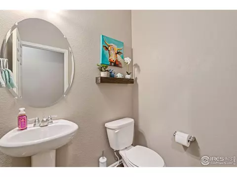 1971 Floret Dr, Windsor, CO 80550 photo 17