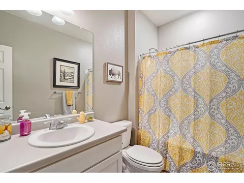 1971 Floret Dr, Windsor, CO 80550 photo 24
