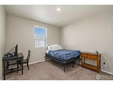 1971 Floret Dr, Windsor, CO 80550 photo 23