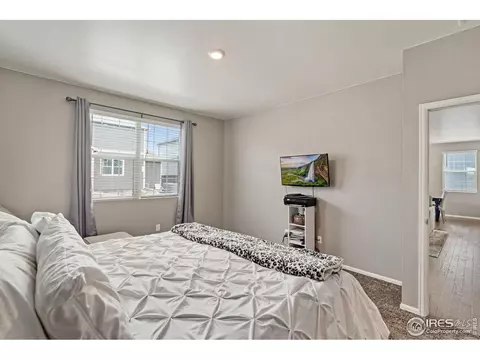 1971 Floret Dr, Windsor, CO 80550 photo 20