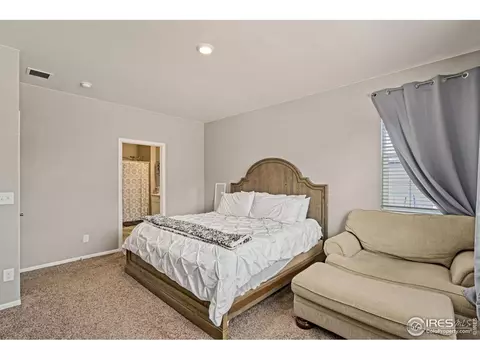 1971 Floret Dr, Windsor, CO 80550 photo 19