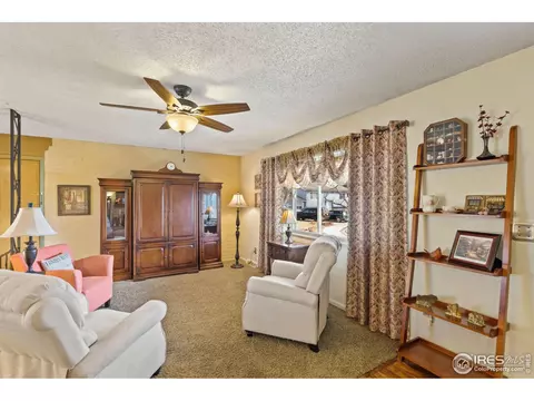 2 Spruce Ct, Windsor, CO 80550 photo 5