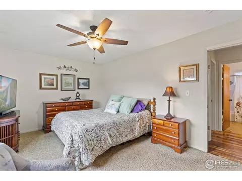 2 Spruce Ct, Windsor, CO 80550 photo 11