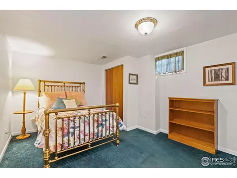 2 Spruce Ct, Windsor, CO 80550 photo 15