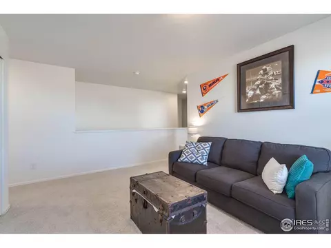 1570 Highfield Dr, Windsor, CO 80550 photo 15
