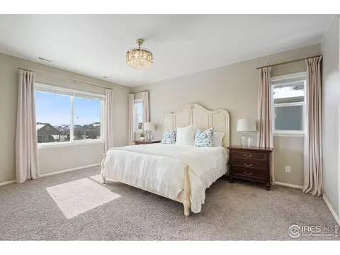 6057 Moran Rd, Timnath, CO 80547 photo 11