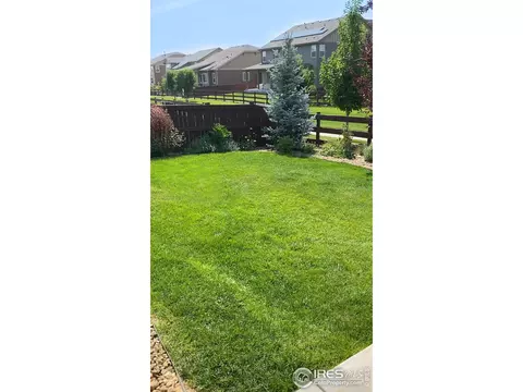 6057 Moran Rd, Timnath, CO 80547 photo 26