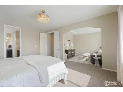 6057 Moran Rd, Timnath, CO 80547 photo 12