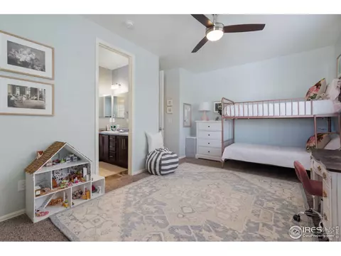 6057 Moran Rd, Timnath, CO 80547 photo 18