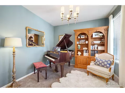 6057 Moran Rd, Timnath, CO 80547 photo 10
